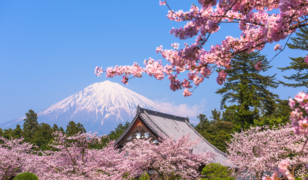 静岡・富士宮（静岡県）の風景