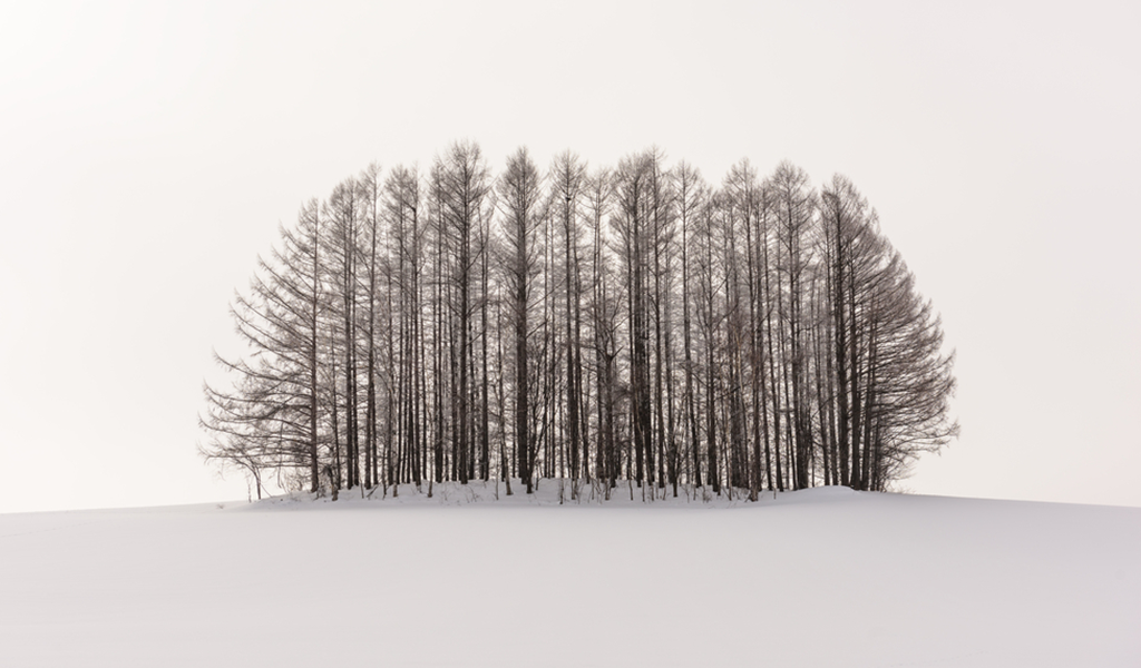 美瑛（北海道）の風景